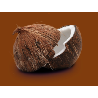  30 X CAROB & COCONUT DOG BISCUITS TREATS BUY 2 BAGS GET 1 BAG FREE