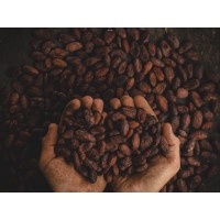 50 X dog biscuits dog friendly chocolate & orange mini training treat recall biscuits 