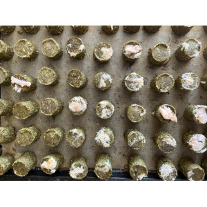 50 X DIABETIC ASSORTED FLAVOURED GRAIN FREE DOG BISCUITS BUY 2 BAGS GET 1 BAG FREkelp. 