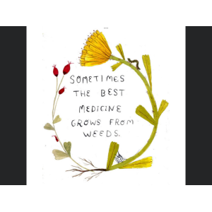 50 X Cheese and circumin dog biscuits buy two bags get 1 bag free 