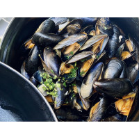 50 X GREEN LIPPED MUSSELS SALMON & SEA LETTUCE DOG BISCUITS BUY 2 GET 1 FREE