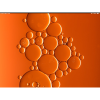 50 Dog biscuits reduce inflammation salmon carrot black rice & Glucosamime Buy 2 bags get 1 bag free