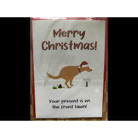 Christmas card your present is on the front lawn