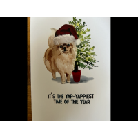 it’s the happiest time of them all