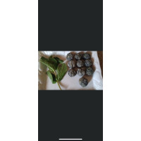 50 Dog breath freshener fresh parsley fresh mint and black minerals NO CHARCOAL  buy 2 bags get 1 bag free 