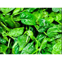 50 Chicken, black rice and spinach dog biscuits buy 2 bags get 1 bag free