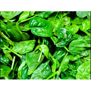 50 Chicken, black rice and spinach dog biscuits buy 2 bags get 1 bag free